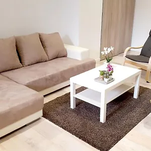 L'haussmannien Stéphanois Appartement